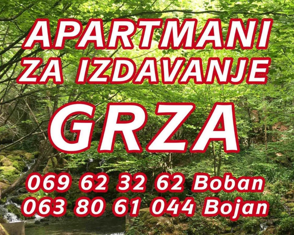 Apartmani Grza Paraćin Exterior foto