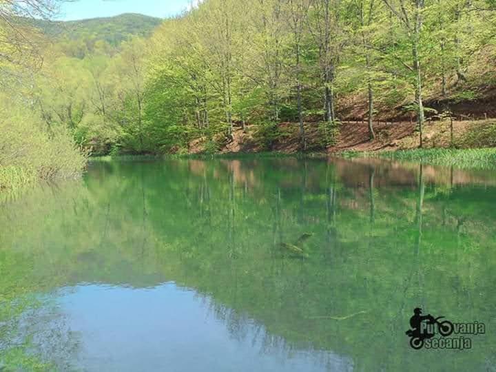 Apartmani Grza Paraćin Exterior foto