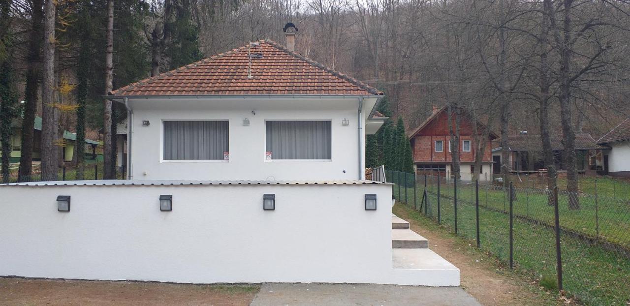 Apartmani Grza Paraćin Exterior foto