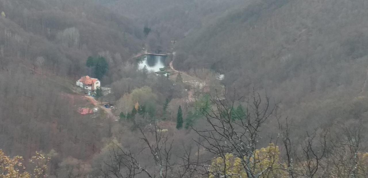 Apartmani Grza Paraćin Exterior foto