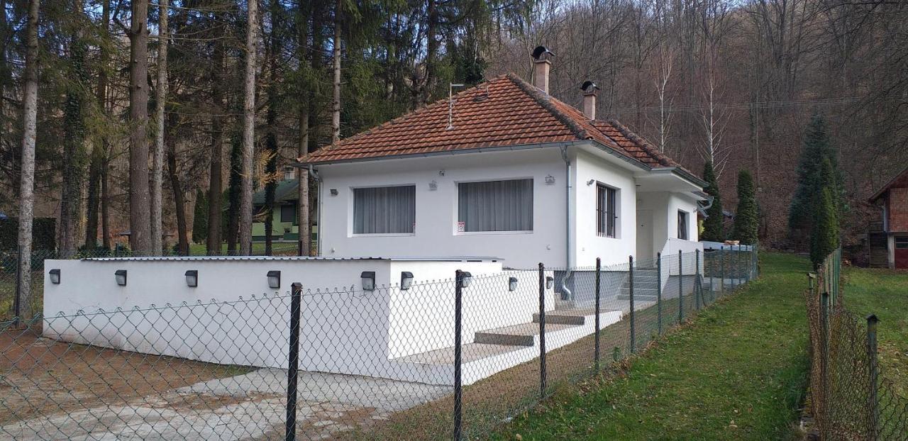 Apartmani Grza Paraćin Exterior foto