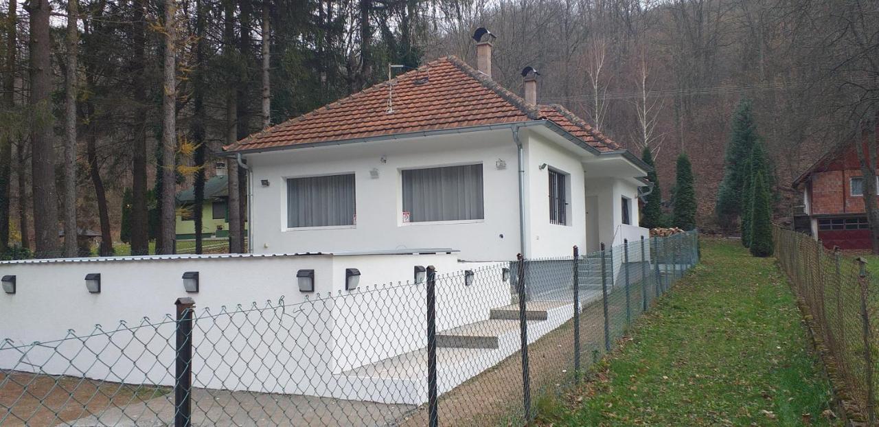 Apartmani Grza Paraćin Exterior foto