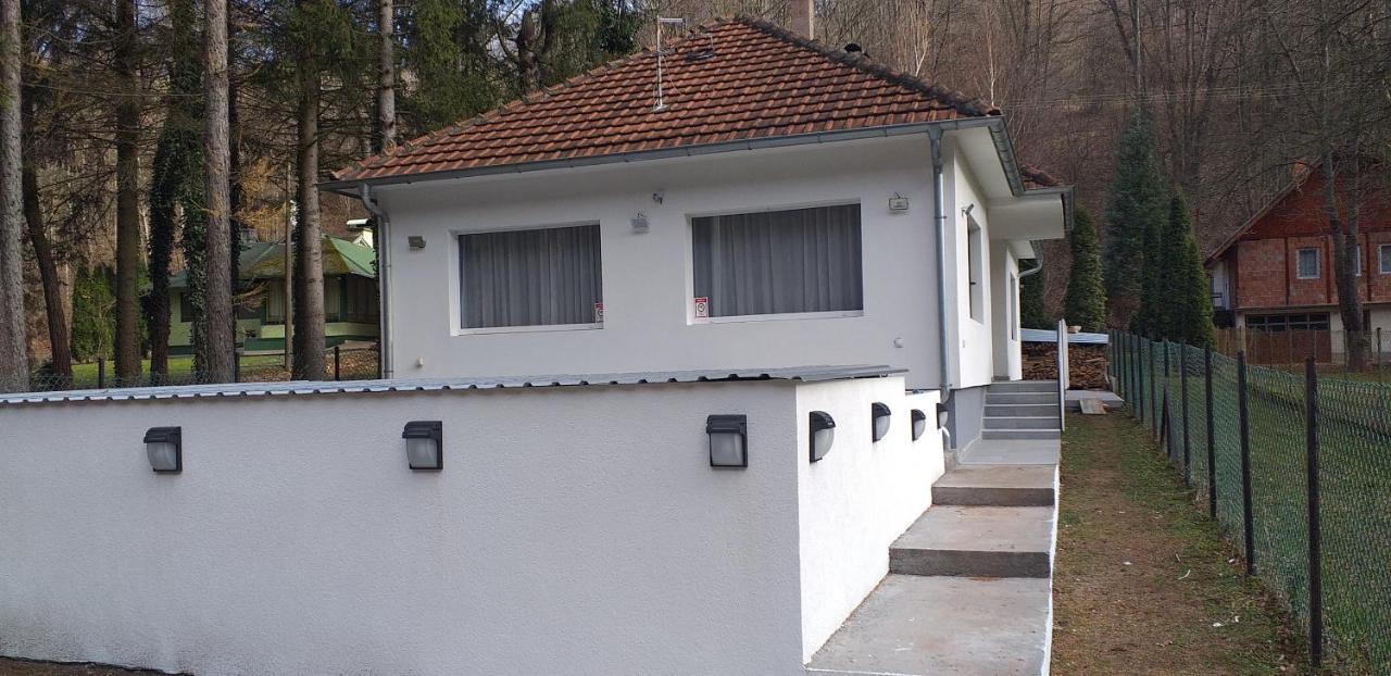 Apartmani Grza Paraćin Exterior foto